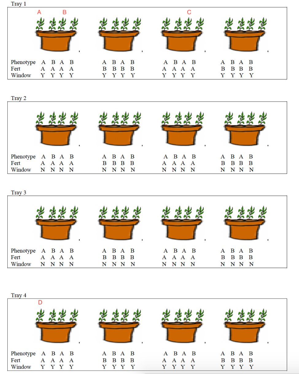 Potted Plant Experimental Design