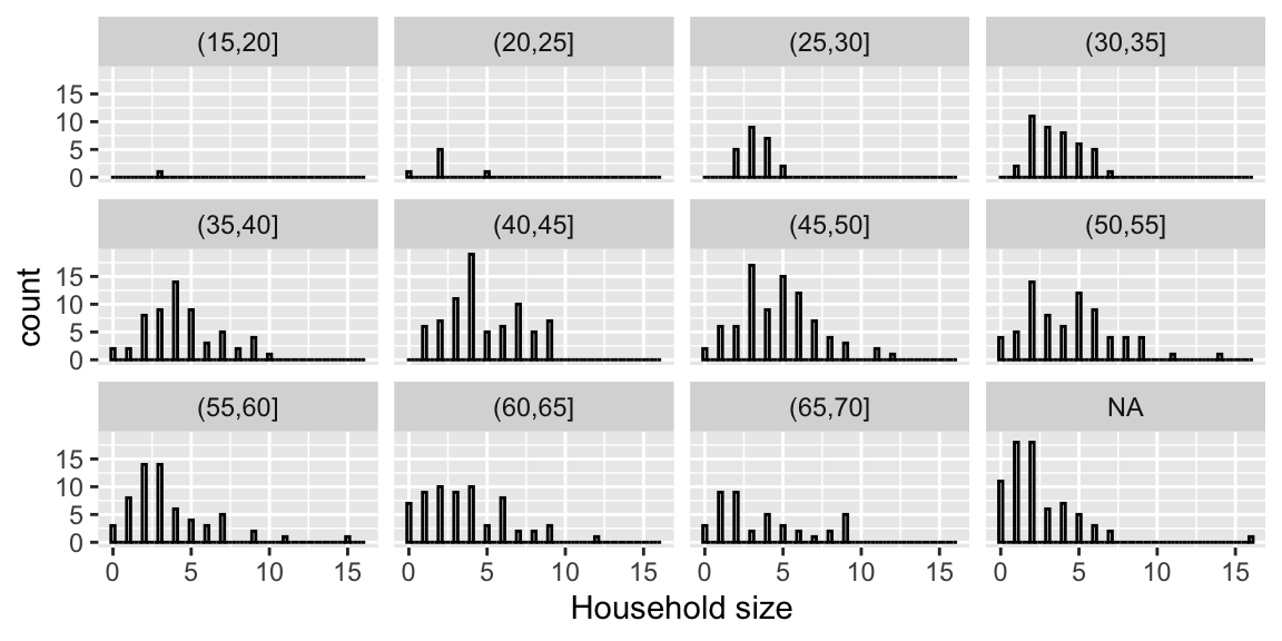Distribution of household sizes by age group of the household head.